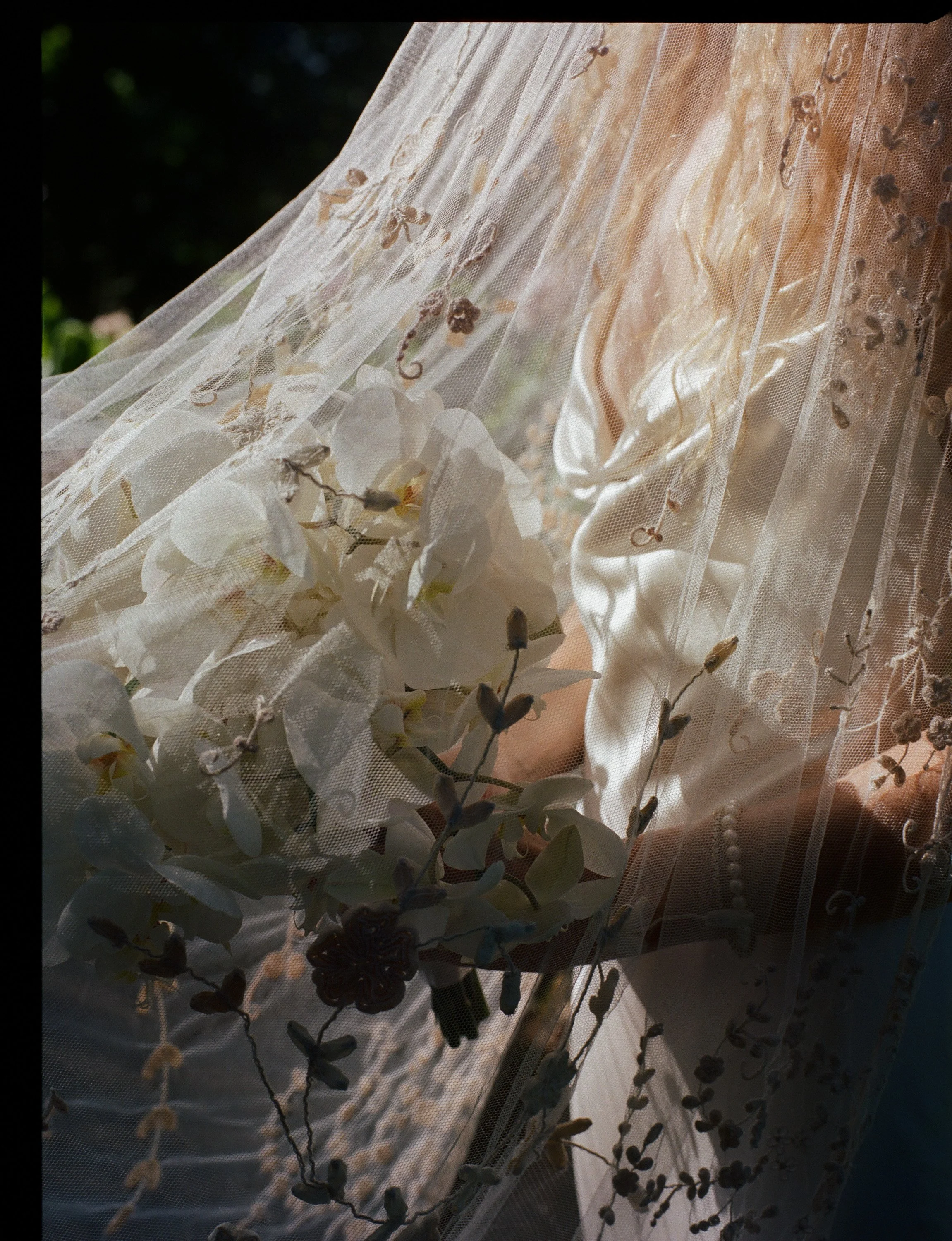 Douglas Veil — jane bourvis